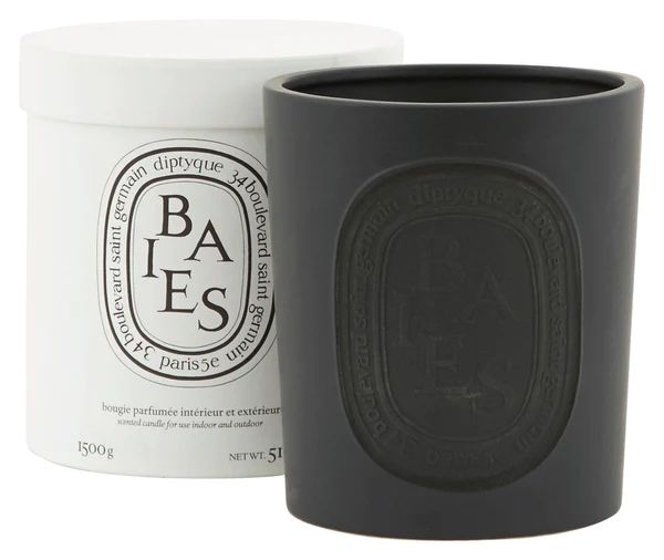 Diptyque Baies Ceramic Candle | Jayson Home