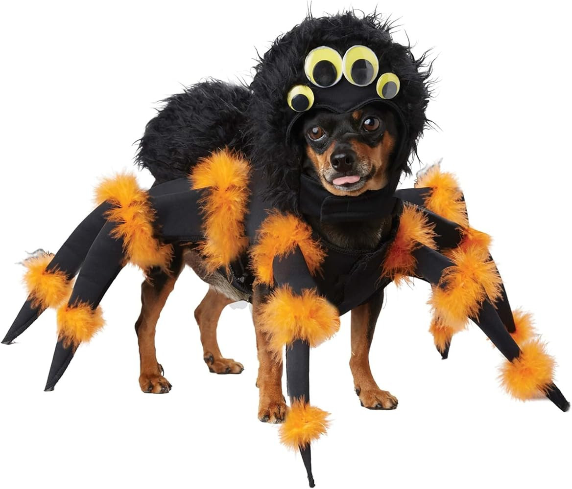 Spider Pup Costume | Amazon (US)