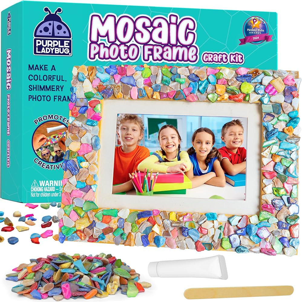 Purple Ladybug DIY Mosaic Picture Frame Craft Kit - Birthday Girls Gifts 8-12 Years Old, Fun Arts... | Amazon (CA)