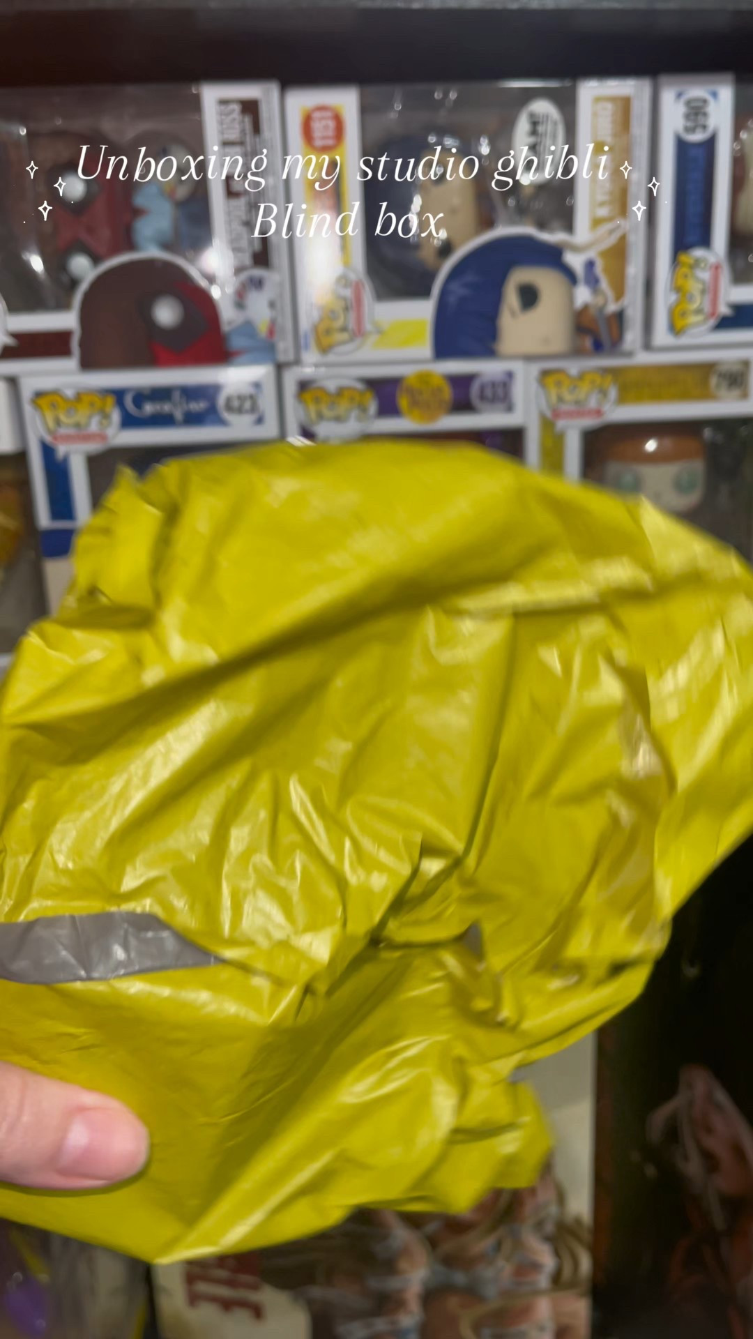 My AliExpress order arrived yesterday!! 

#LTKFindsUnder50 #LTKGiftGuide #LTKFindsUnder100