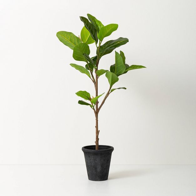 39" Faux Audrey Ficus Tree - Hearth & Hand™ with Magnolia | Target