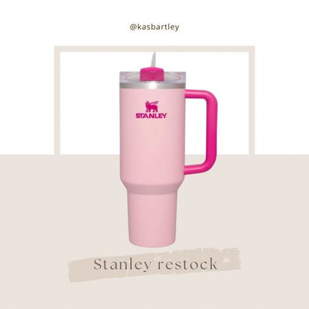 This adorable Stanley is restocked at target in the cutest color 💕

#LTKGiftGuide #LTKHoliday