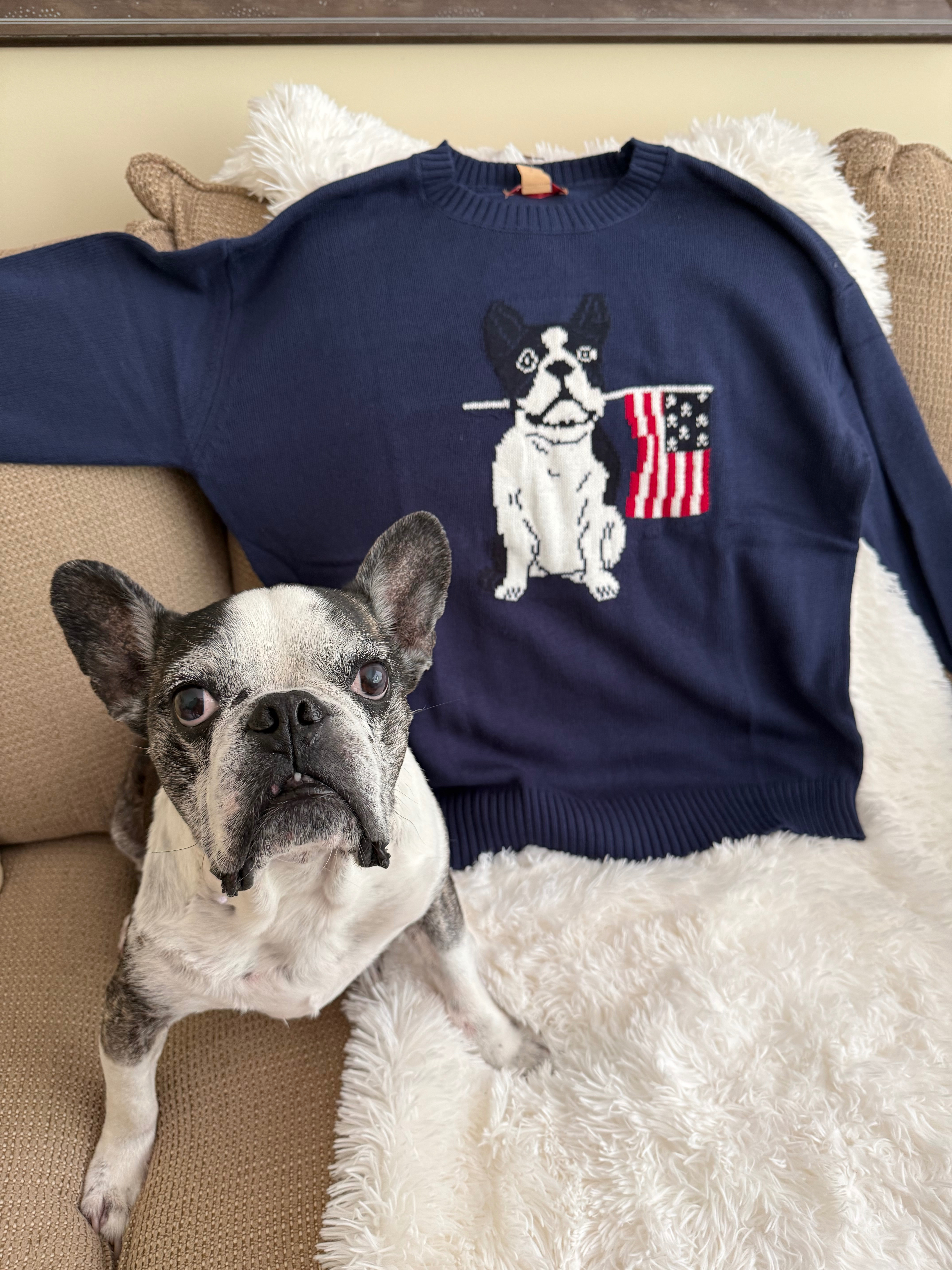 My assistant just grabbed this adorable Kohl's sweater. It looks just like her Frenchie Walter! It's also currently on sale.

#LTKootd #LTKOver40 #LTKSaleAlert