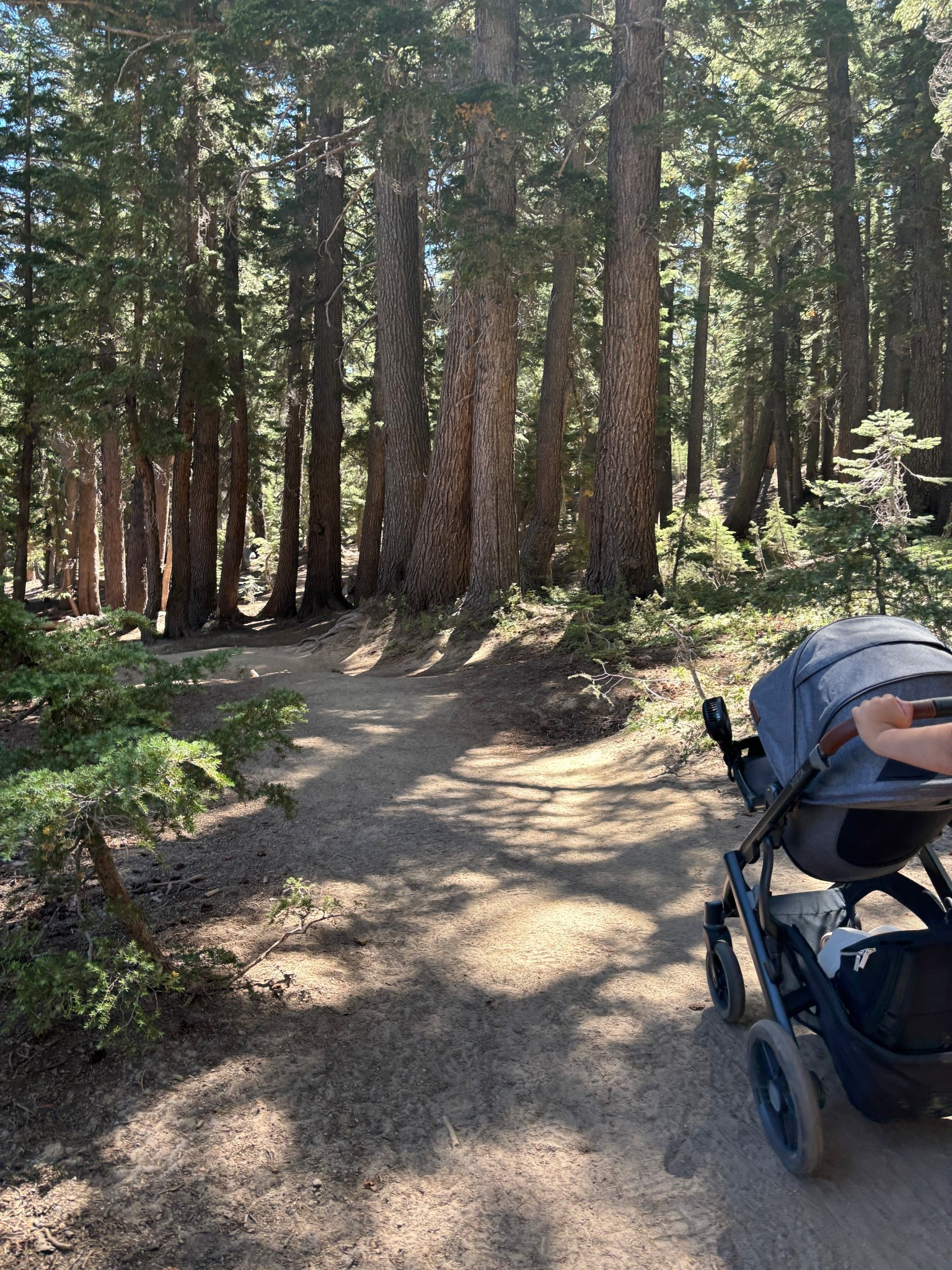 By far the best stroller there is! All terrain tires make it easy to go on nature walks while baby sleeps soundly! Adjustable so he can lay down to sleep or sit up to see the beauty. And can fit all the necessities on the bottom 🙌

#LTKActive #LTKBaby #LTKTravel