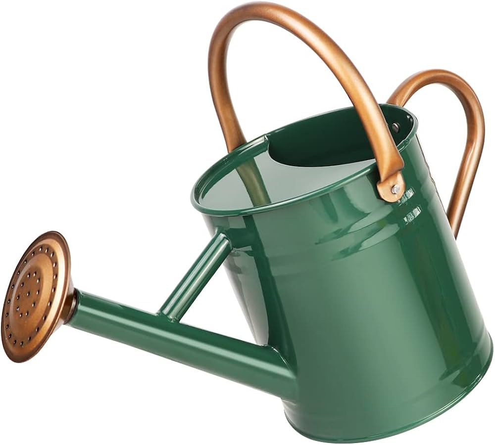 Metal Watering Can with Removable Spout, Galvanized Steel Plants Water Can for Women, Men and Kid... | Amazon (US)