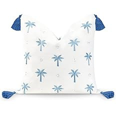 Hofdeco Premium Coastal Hampton Style Patio Indoor Outdoor Pillow Cover Only, 20"x20" Water Resis... | Amazon (US)