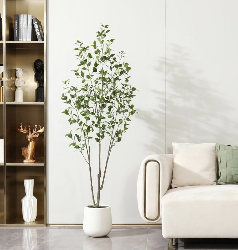 Artificial 6ft tree

This ficus faux tree looks real; we love the white pot it comes in.

Perfect for main bedroom, office or living room. 

#LTKHome #LTKStyleTip #LTKSaleAlert