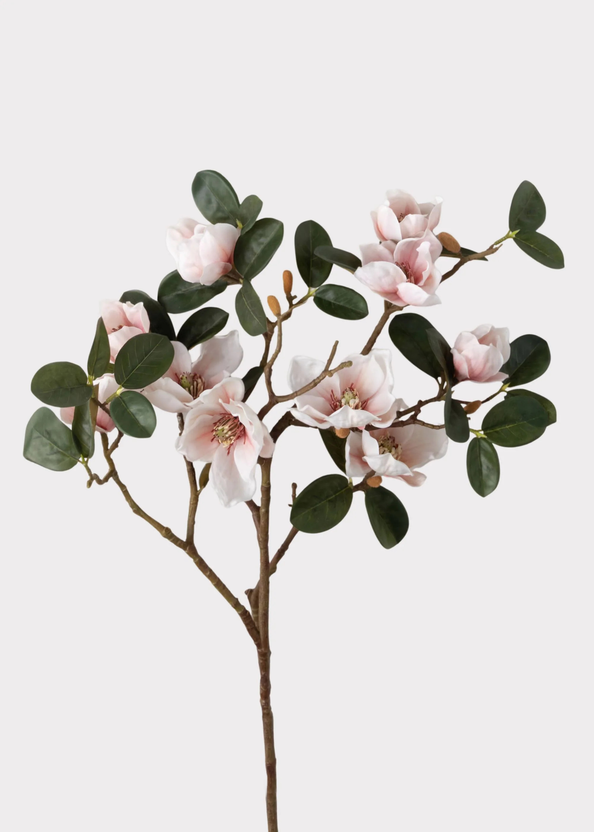 Faux Magnolia Branch in Blush | Artificial Spring Flowers | Afloral | Afloral
