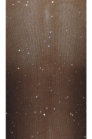 Zoie Mesh Bodysuit in Black | Revolve Clothing (Global)