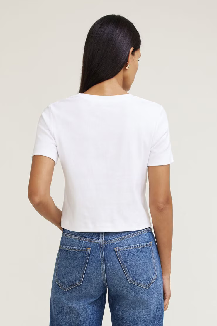 Everyday Heavy Cotton T Shirt | Dynamite Clothing