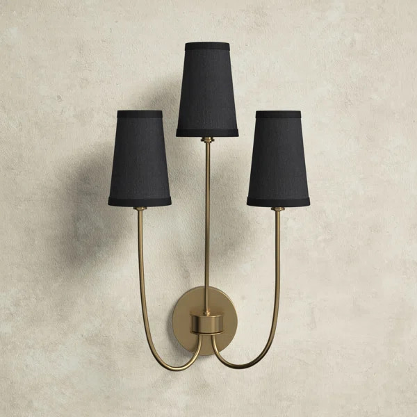 Revel Armed Sconce | Wayfair North America