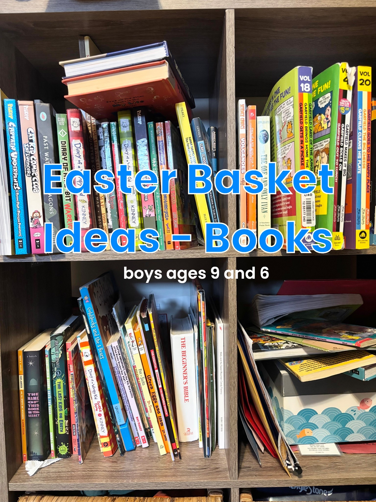 I always like to gift books to my boys who are ages 9 and 6. These are the books I’m going to put in their Easter Baskets.

#LTKstorytime #LTKmomlife #LTKSeasonal