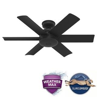 Hunter 44" Sea Edge Outdoor Ceiling Fan and Wall Control, WeatherMax Wet Rated - Matte Black | Bed Bath & Beyond