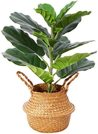 Amazon.com: Ferrgoal Artificial Fiddle Leaf Fig Plants 22 Inch Fake Ficus Lyrata Tree with 14 Lea... | Amazon (US)