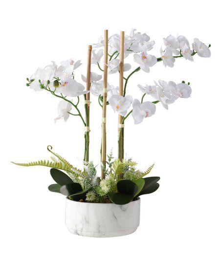 White Real Touch Orchid Arrangement | Zulily