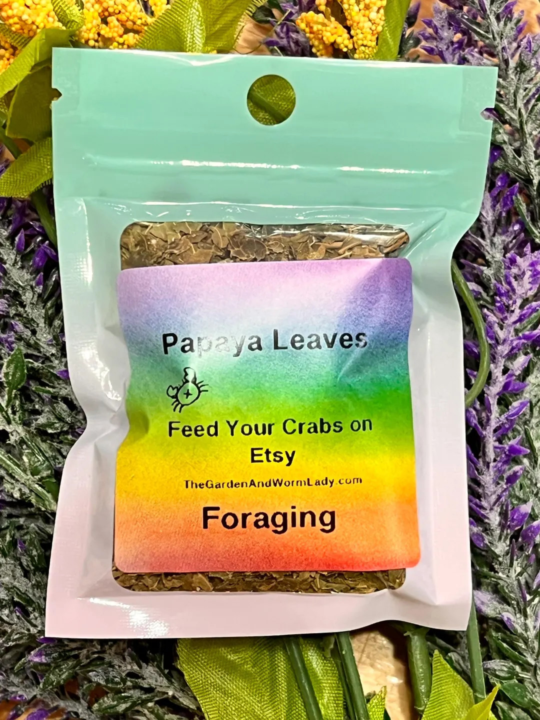 Organic Papaya Leaves for Hermit Crab Food. Foraging for Hermit Crabs - Etsy | Etsy (US)