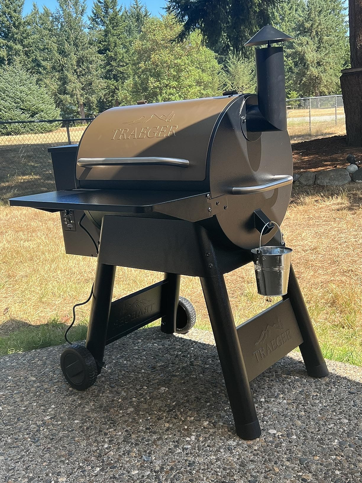 Traeger Grills Pro Series 22 Electric Wood Pellet Grill and Smoker, Bronze, Extra large | Amazon (US)