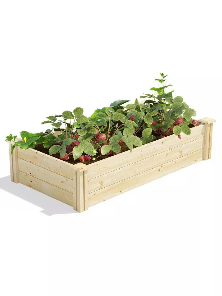 Pine Raised Garden Bed 2' x 4' x 10.5" High | Gardener's Supply | Gardener's Supply Company