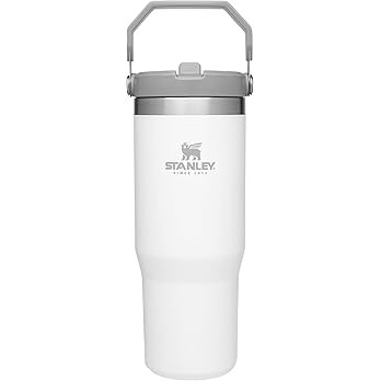 STANLEY IceFlow Stainless Steel Tumbler with Straw, Vacuum Insulated Water Bottle for Home, Offic... | Amazon (US)