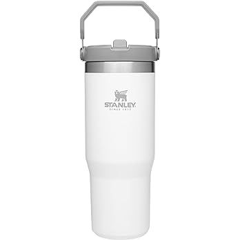 Stanley IceFlow Stainless Steel Tumbler with Straw - Vacuum Insulated Water Bottle for Home, Offi... | Amazon (US)