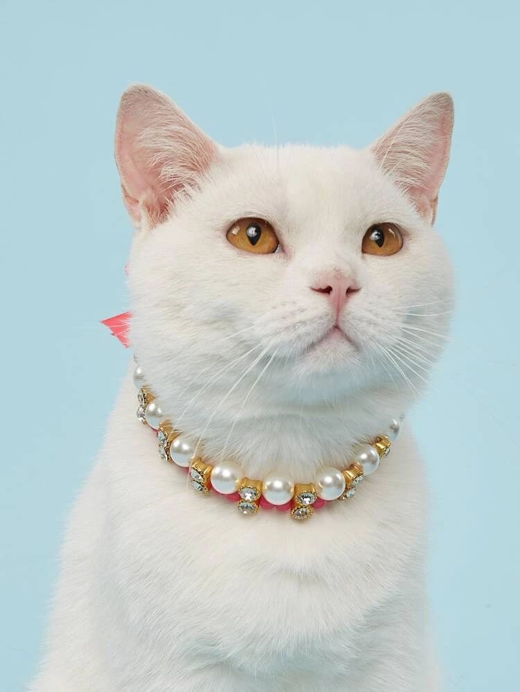 Faux Pearl Detail Pet Necklace | SHEIN