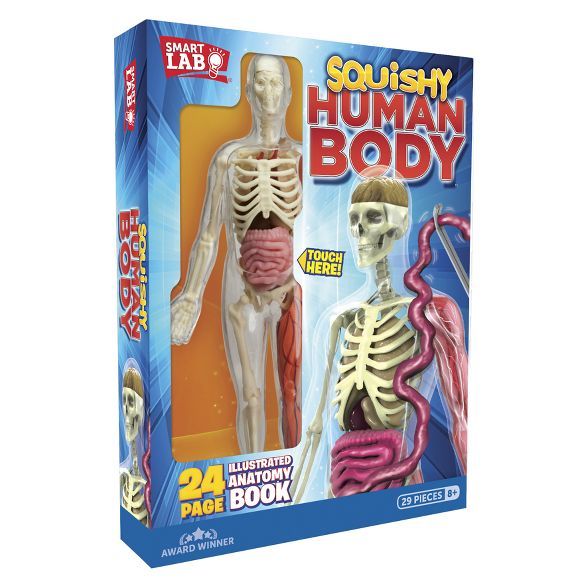 Squishy Human Body Anatomy Kit | Target