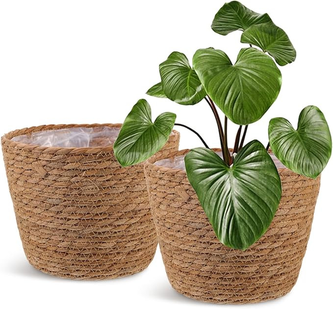 Healifty Straw Woven Plant Basket 2PCS Rattan Flower Basket Indoor with Plastic Liner Natural Sty... | Amazon (US)