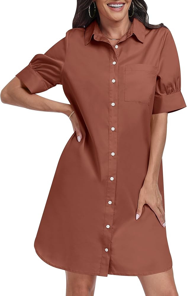 ANRABESS Womens Button Down Shirt Dress with Pockets Short Sleeve Loose Business Casual Summer Be... | Amazon (US)