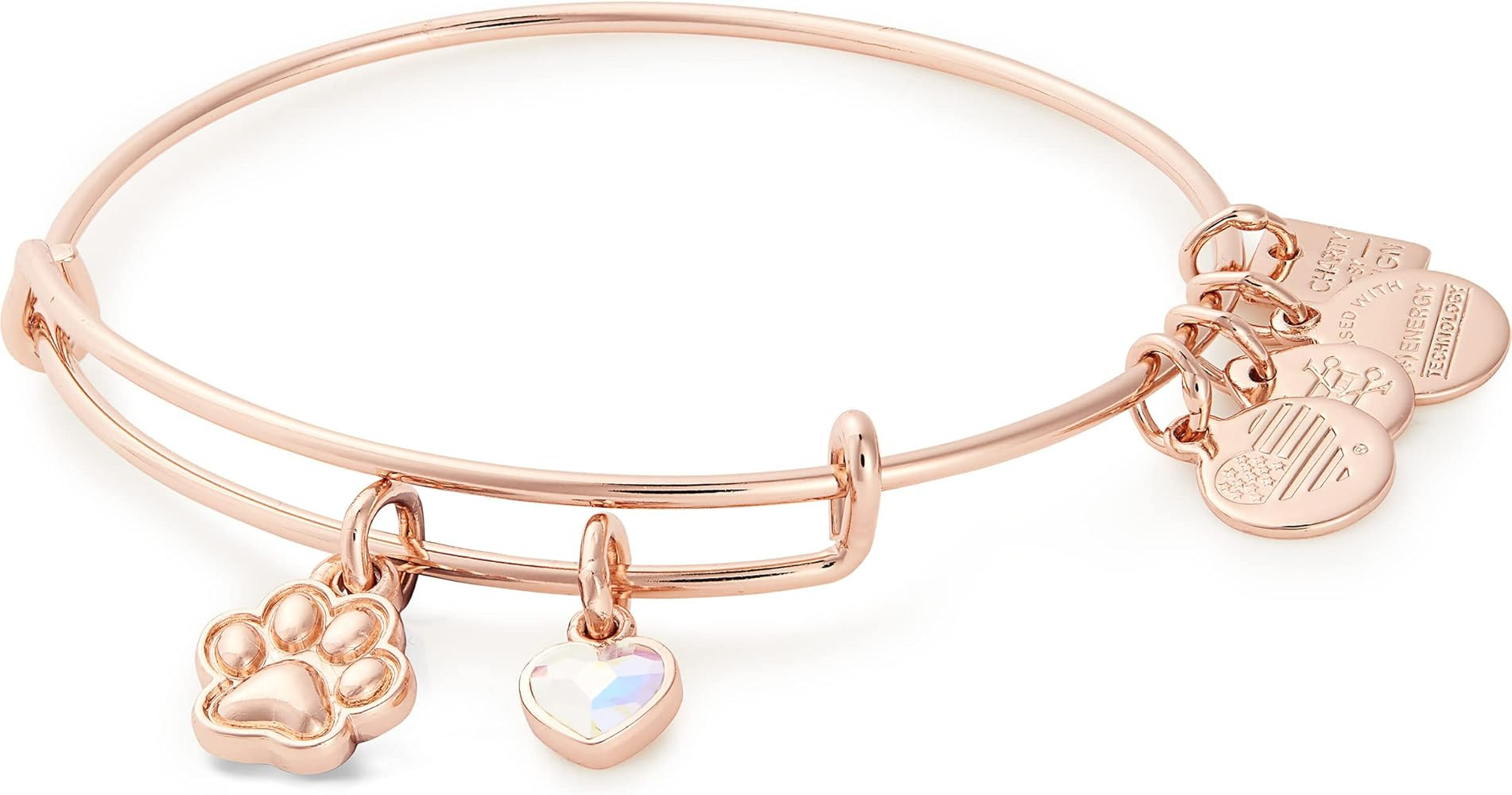 Alex and Ani Tokens Expandable Wire Bangle Bracelet for Women, Paw Print Duo Charm, Shiny Finish, 2  | Amazon (US)