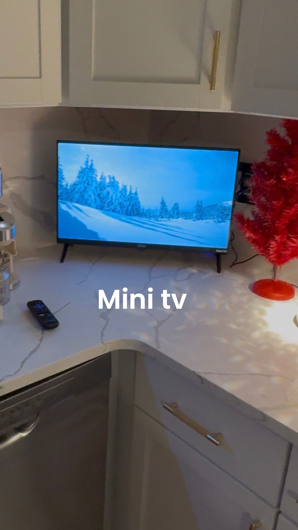 Mini smart 24” tv for kitchens 

#LTKHome #LTKHoliday #LTKCyberWeek
