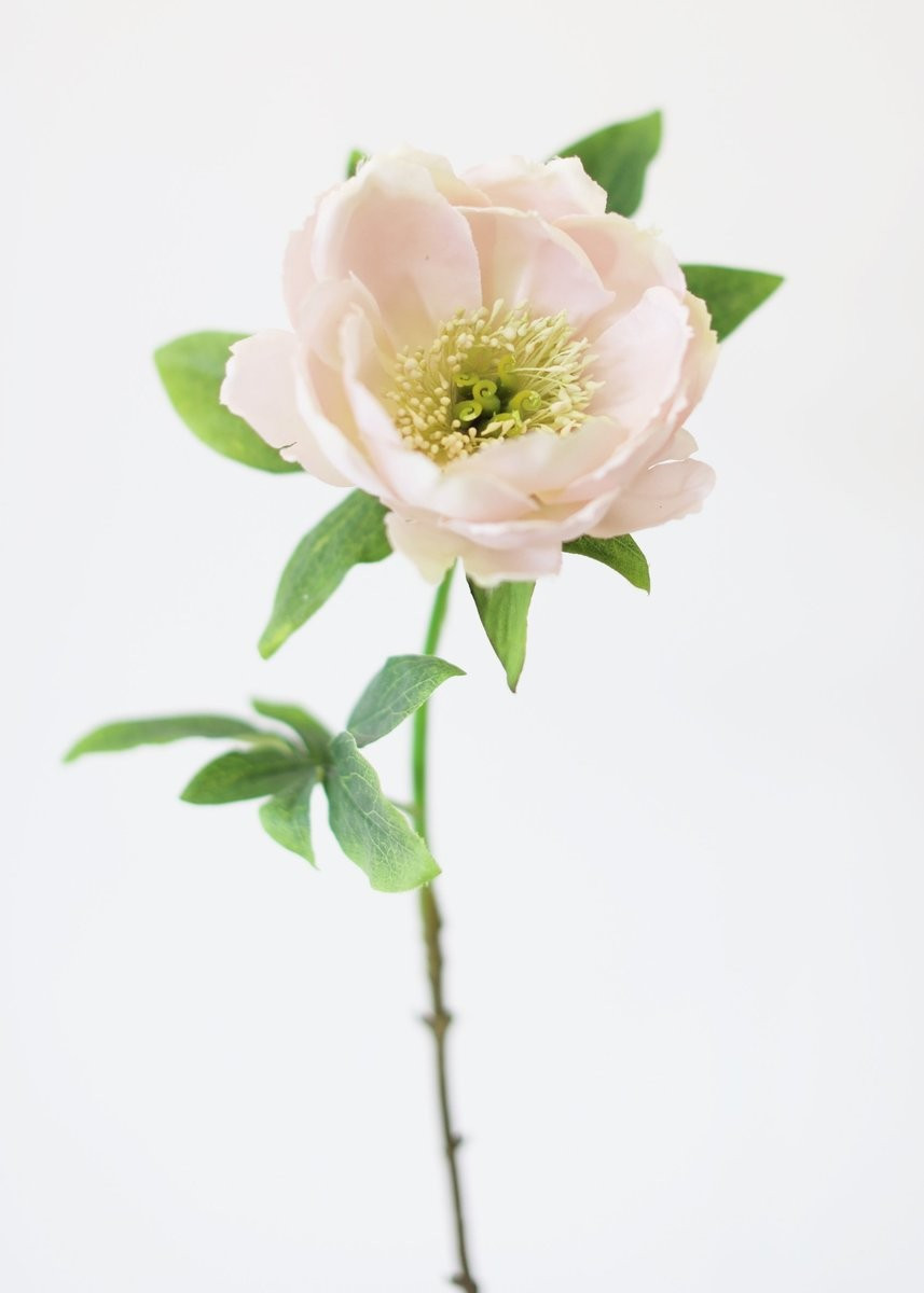 Blush Artificial Peony Flower | Afloral (US)