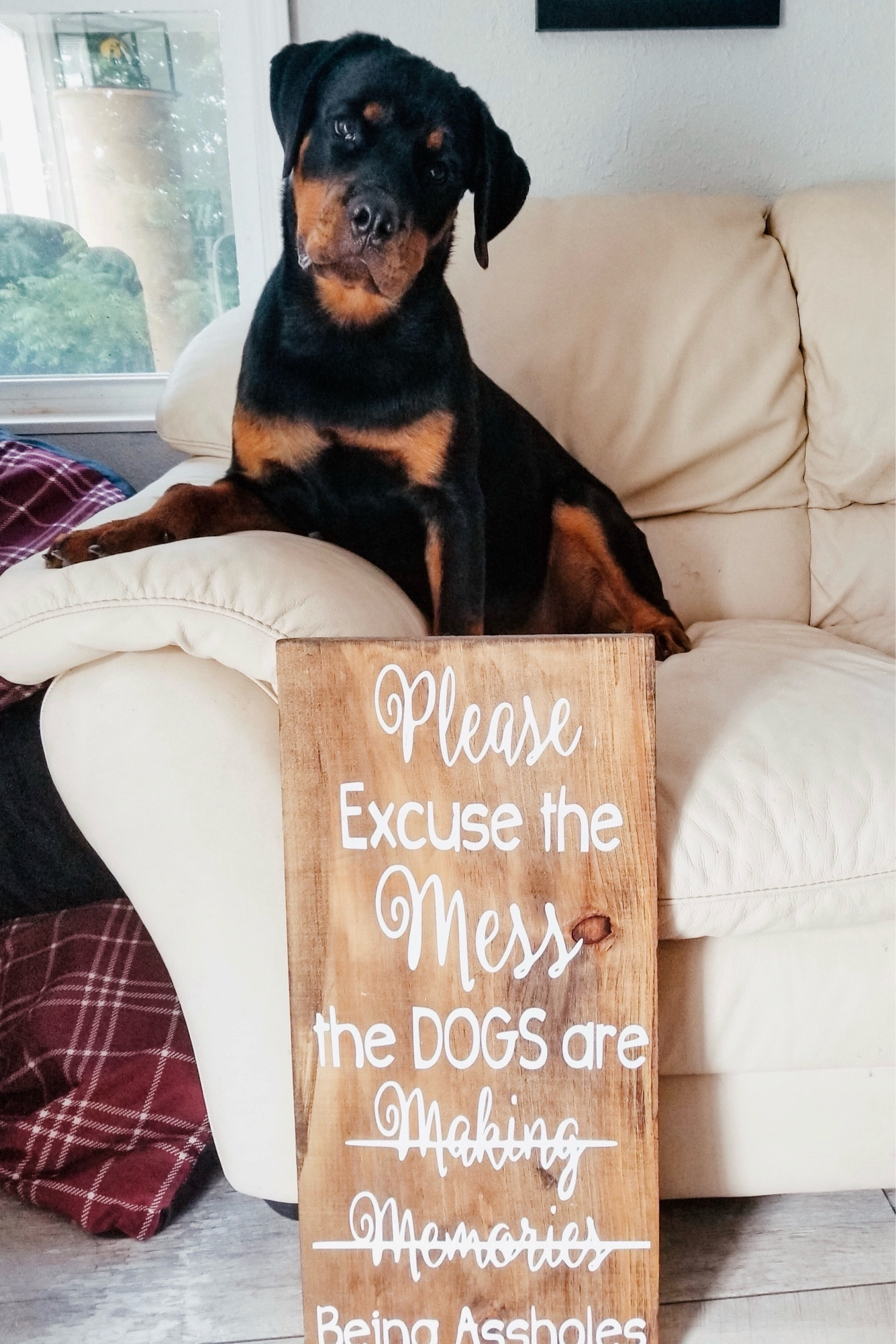 The perfect gift 🎁  for that dog momma in your life!   

Dog mom | Dog momma gifts | Dog dad | Fur mom | Gift guide | Dog home decor 

#LTKHoliday #LTKfindsunder50 #LTKGiftGuide