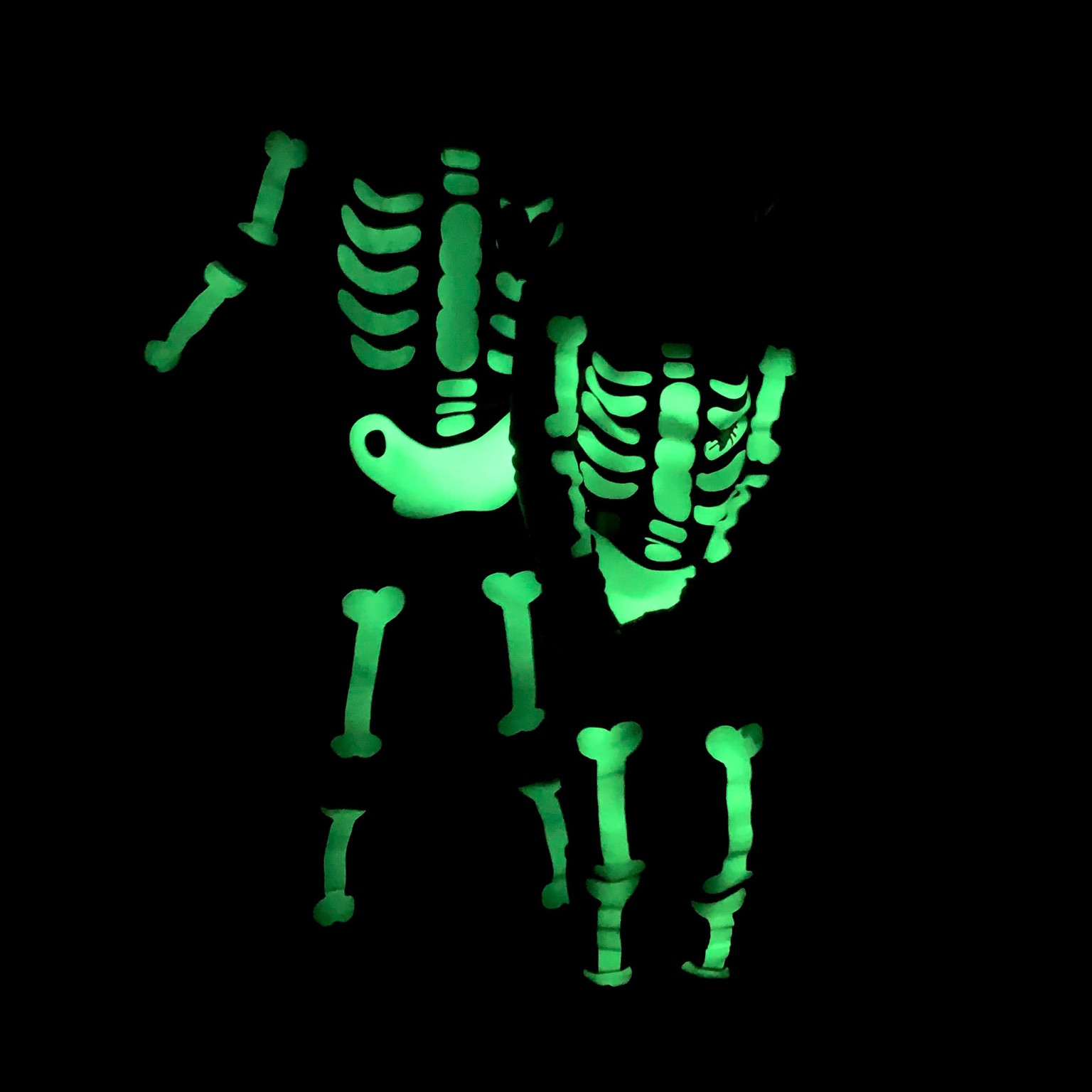 Doorbuster Alert!! Glow in the dark Halloween skeleton pajamas for babies, toddlers, kids and adults on sale for Labor Day weekend!

#LTKkids #LTKSale #LTKHalloween