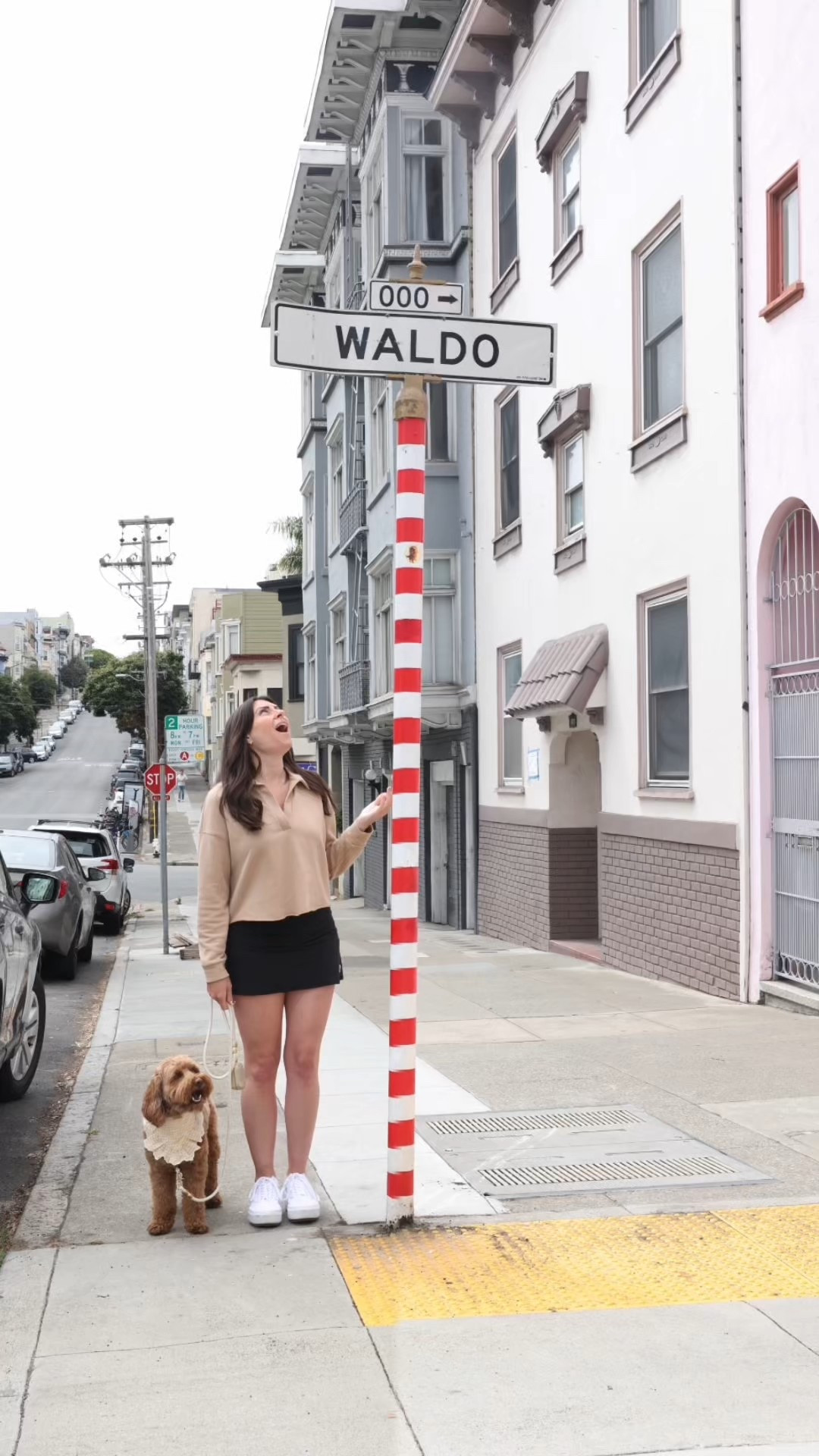 Halloween costume idea for you and your dog 

#LTKHalloween #LTKPets #LTKSeasonal