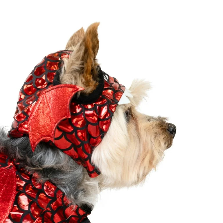 Vibrant Life Halloween Dragon Costume for Dogs & Cats, Red, Extra Small | Walmart (US)