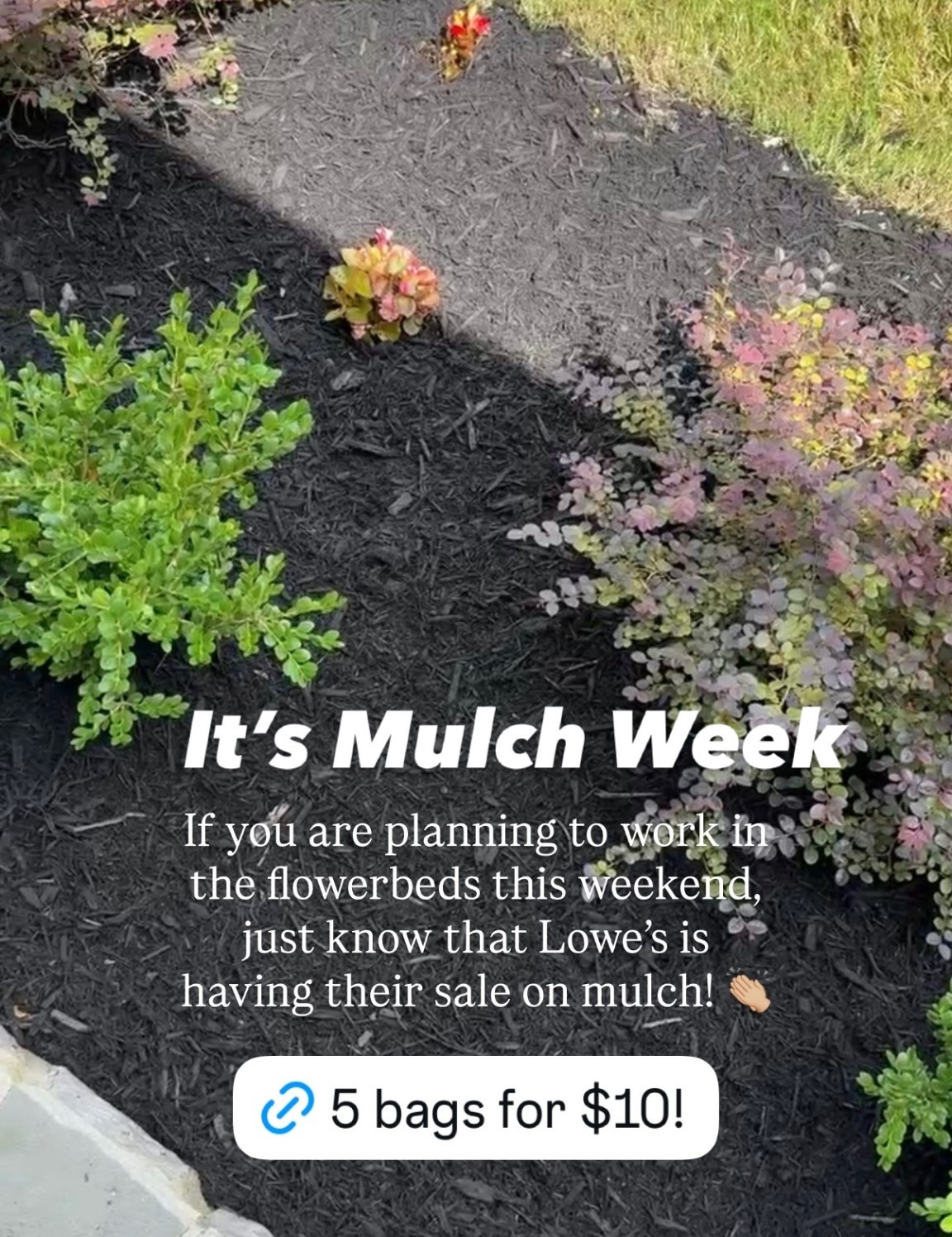 It’s Mulch Week @loweshomeimprovement 

 If you are planning to work in the flowerbeds this weekend, just know that Lowe’s is having their sale on mulch! 👏🏼 5 bags for $10! Ends April 22  

#LTKHome #LTKSaleAlert #LTKSeasonal