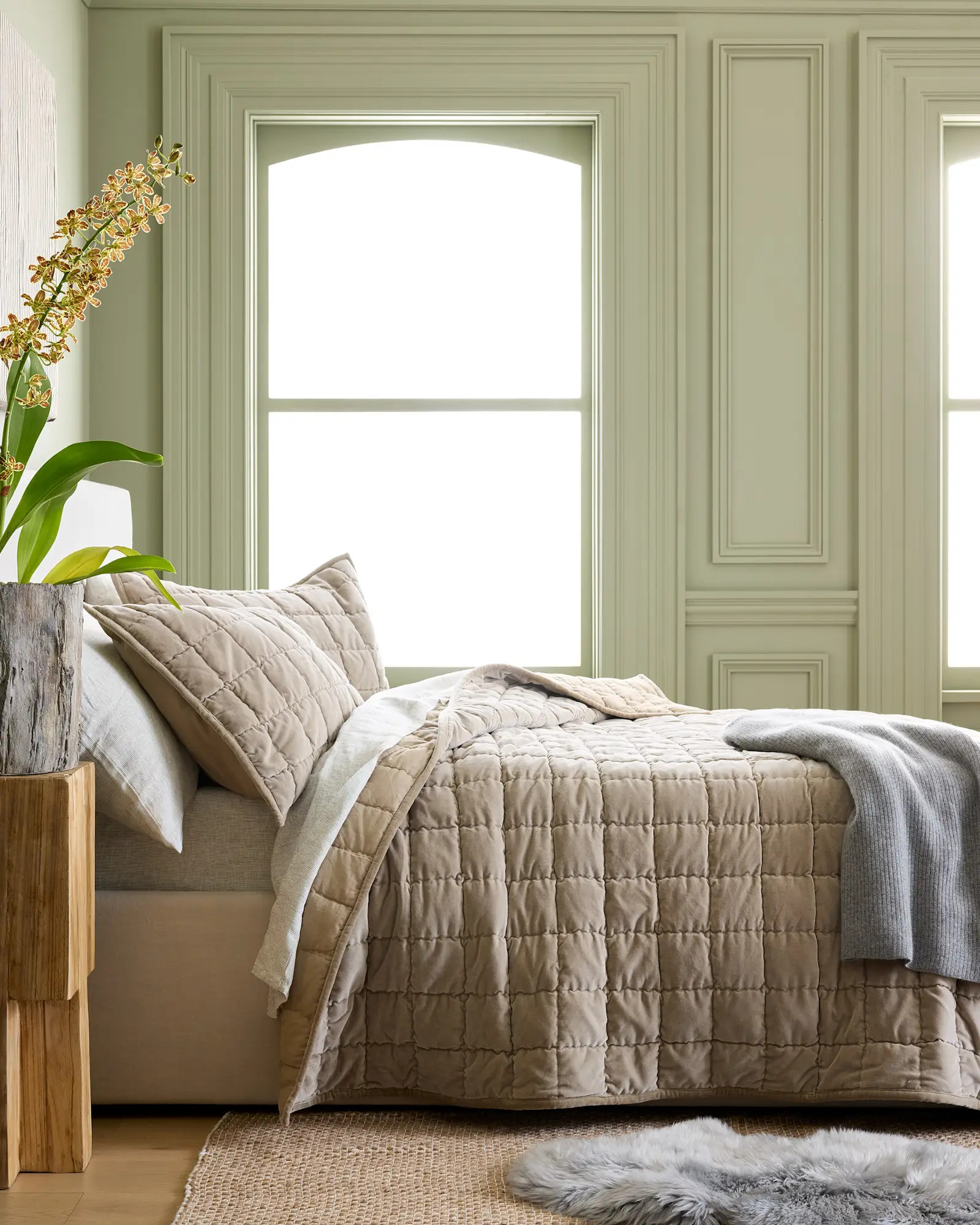 100% Cotton Velvet Box Quilt Set in Light Taupe | Quince