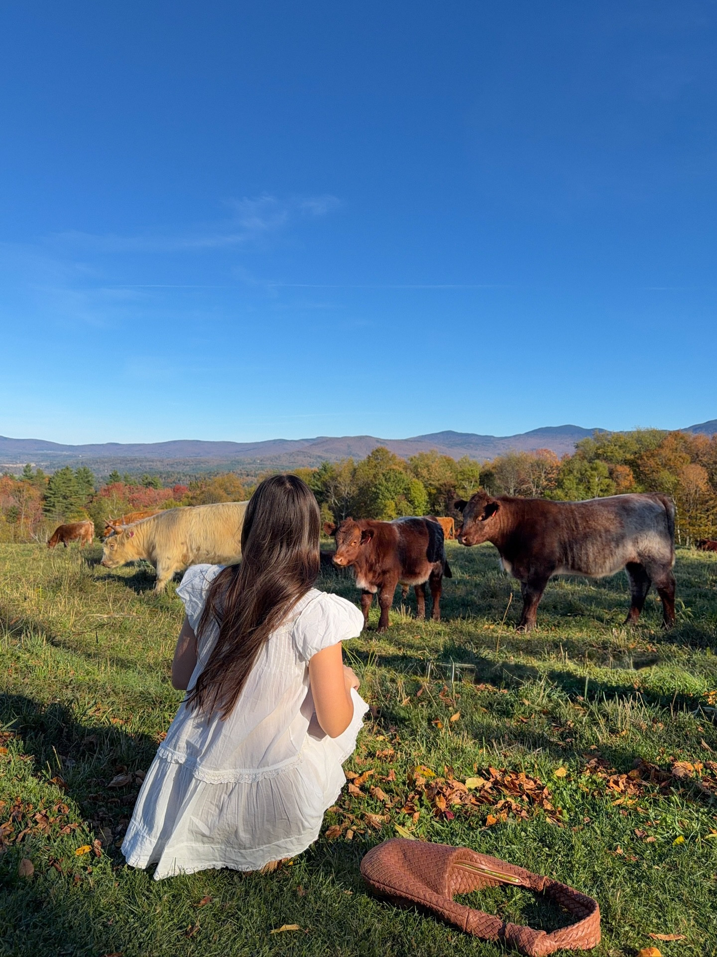 transported into the sound of music 🐄✨🌱 loving this fall ootd! the babydoll dress from free people is SO cute

#LTKStyleTip #LTKItBag #LTKSeasonal