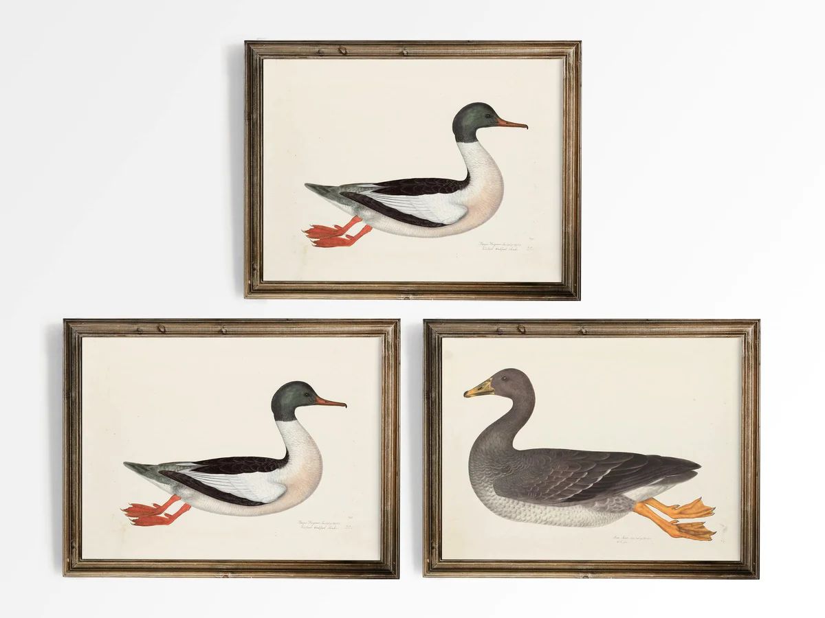 Duck Duck Goose | Heirloom Print Shop