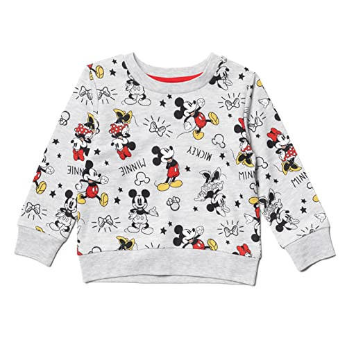 Disney Minnie Mouse Mickey Mouse Toddler Girls Sweatshirt Gray 4T | Amazon (US)