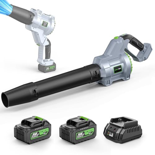 LUCKYTECH Leaf Blower Cordless, 680CFM Leaf Blowers with 2 x 4.0Ah Batteries & Charger, 5-Speed Brushless Motor, Lightweight Snow Blower Grass Blowers for Lawn Care, Patio, Yard, Blows Leaves, Snow | Amazon (US)