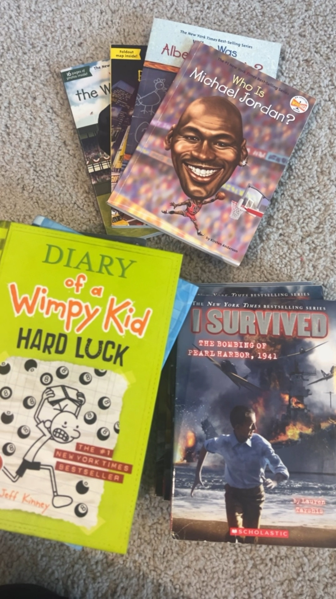 Best book series for grade school age! My boys love these and 2 of them are super educational! 

#LTKKids #LTKGiftGuide #LTKHoliday