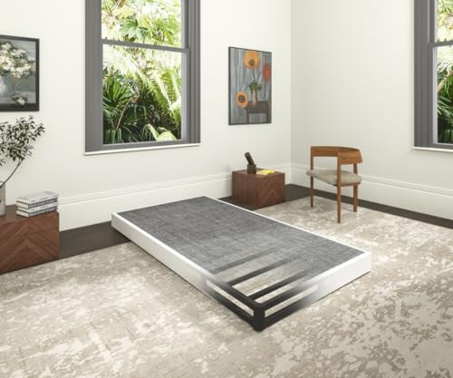 Faoide 5 Inch Heavy Duty Metal Box Spring Twin Size, Low Profile Twin Mattress Foundation Bed Base, 2500 lbs Weight Capacity, Easy Assembly, Easy Clean Fabric Cover, Black | Amazon (US)