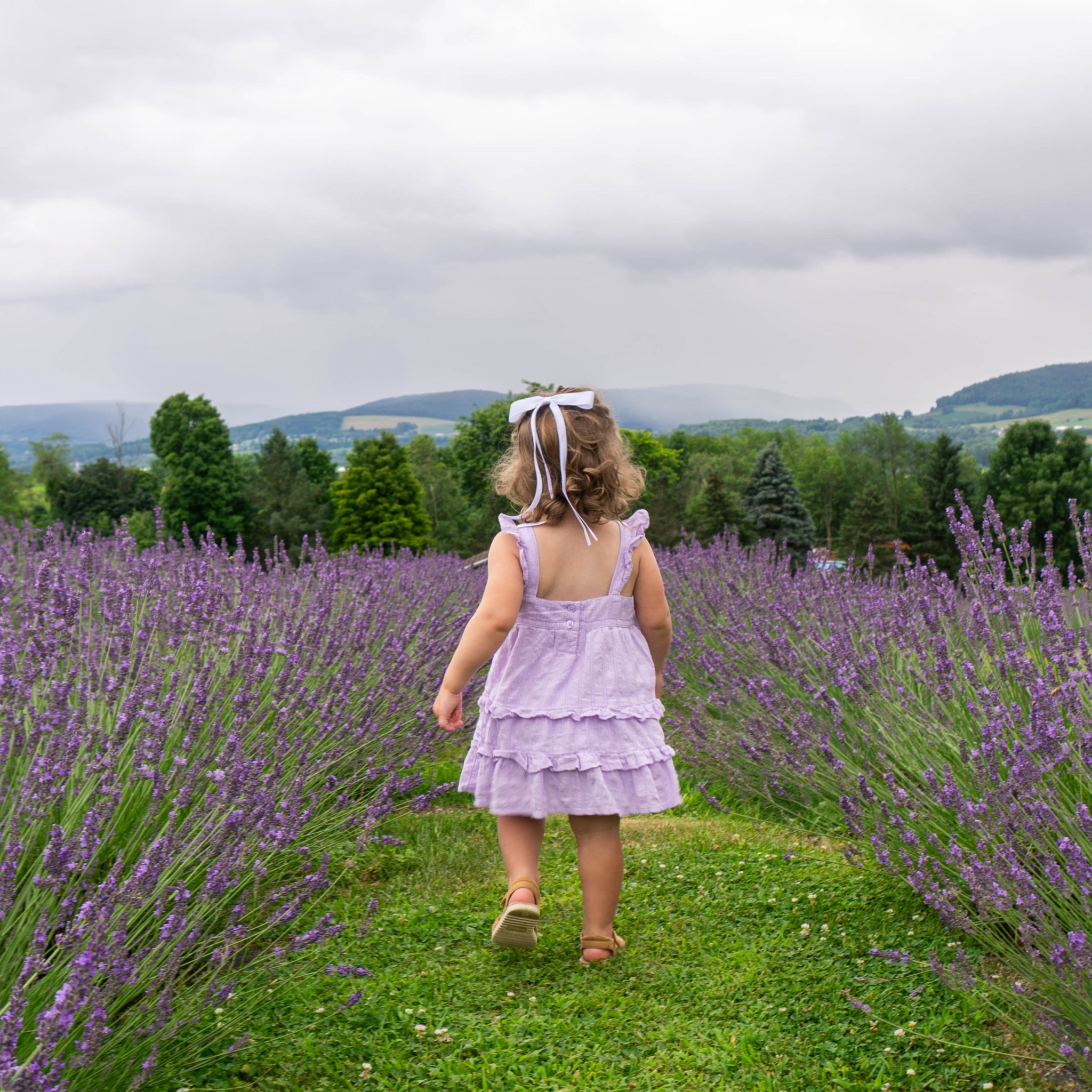 Toddler girl sandals, hair bow, girls hair bow, women’s hair bow, affordable fashion, Amazon finds, Target finds 

#LTKSeasonal #LTKKids #LTKFindsUnder50