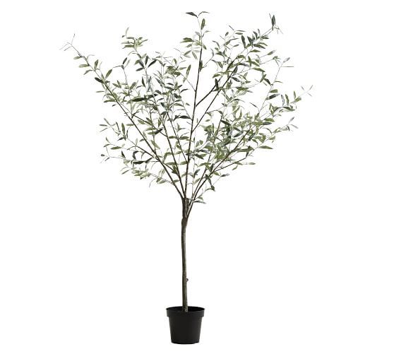 Faux Potted Olive Tree | Pottery Barn (US)