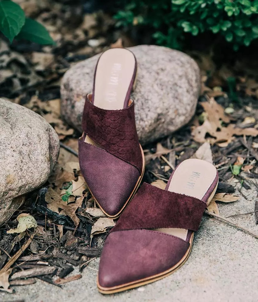 Epic Mule Shoe | Buckle