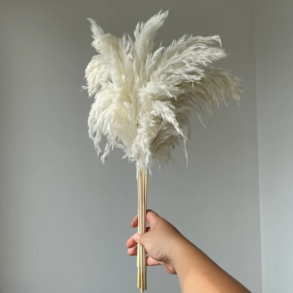 10 Stems White Color M Size Real Dried Pampas Grass Bouquet Wedding Decor Flower Bunch Natural Pl... | Etsy (US)