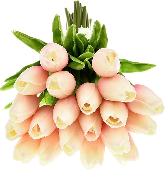 XIAOHESHOP XHSP 30 pcs Real-touch Artificial Tulip Flowers Home Wedding Party Decor (Champagne) | Amazon (US)