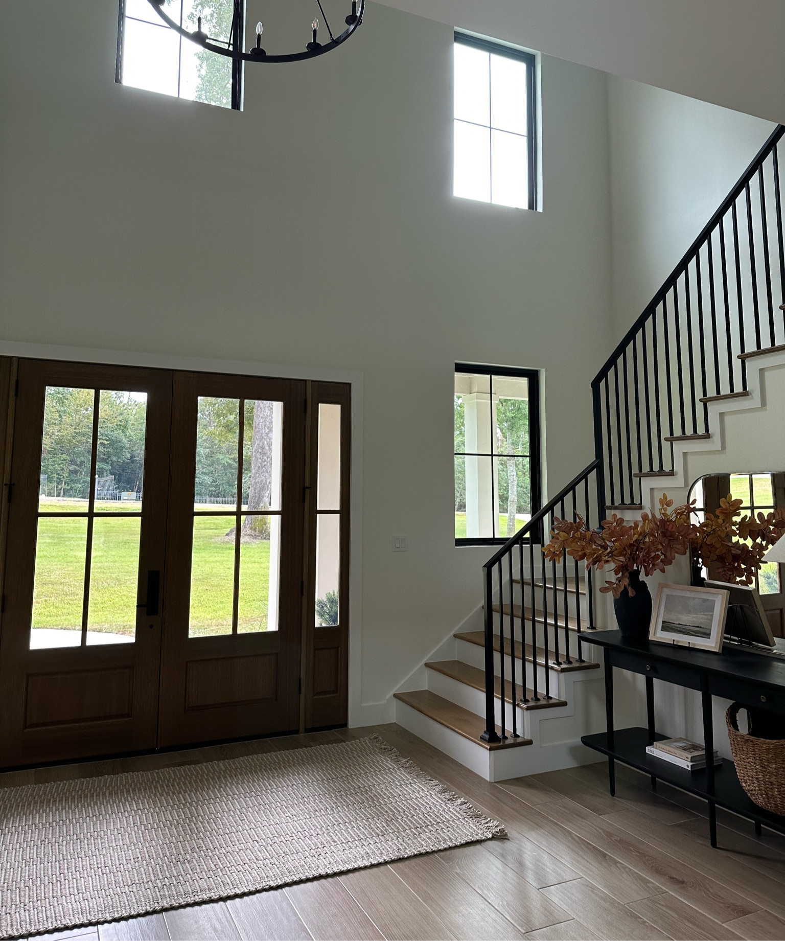 Beautiful entry rug! 