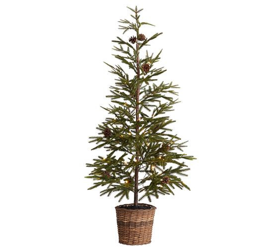 Lit Faux Pine Trees in Basket | Pottery Barn (US)
